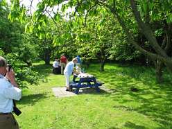29: Endelave picknick