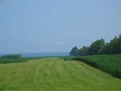 49: femo take off 2