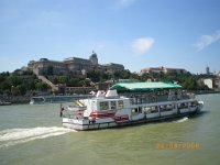 IMGP0189  veel rondvaart verkeer op de Donau