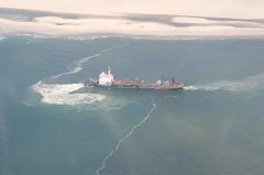 IMG_7865