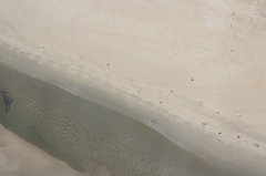 IMG_7886
